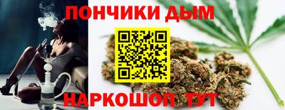 гашик Будённовск