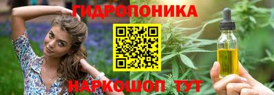 гашик Будённовск
