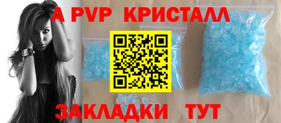 гашик Будённовск