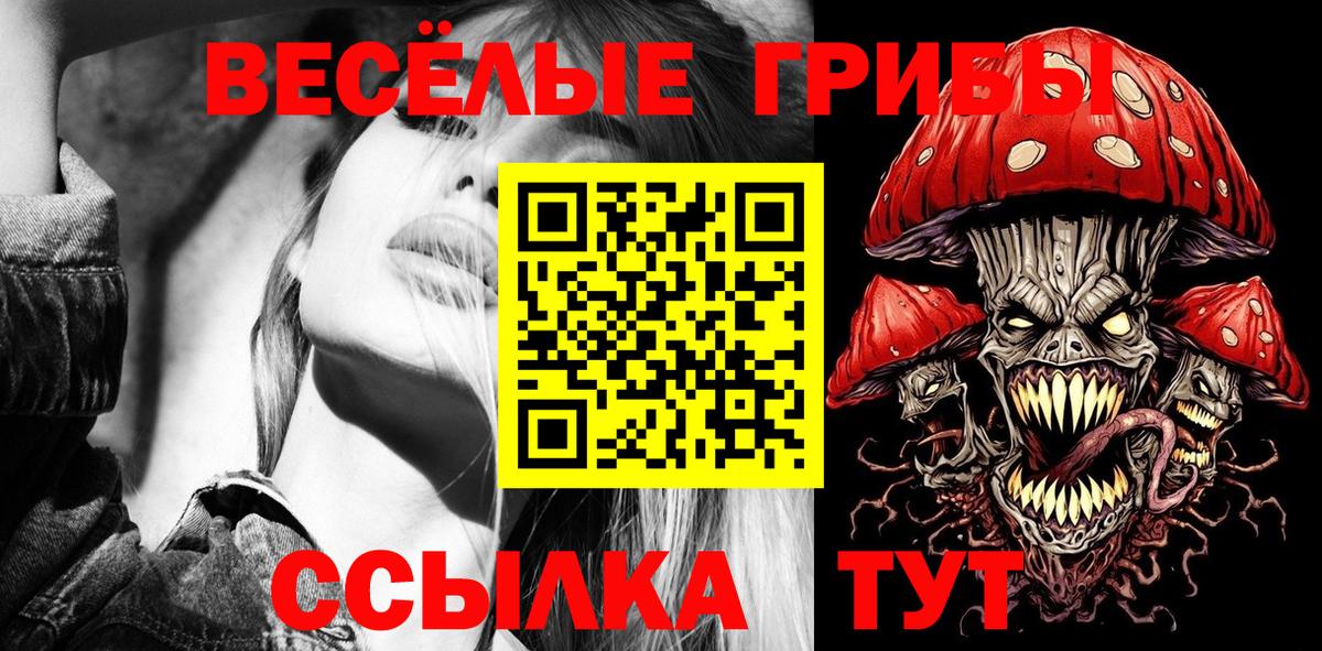 Псилоцибиновые грибы Psilocybine cubensis  где можно купить наркотик  Реж  Вход с VPN 